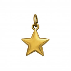 14mm Star Stainless Steel Gold Color Pendant